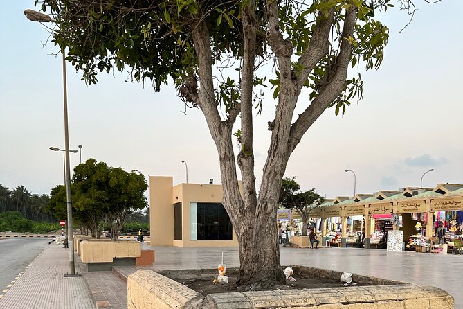 Historical Salalah City Tour - Al Baleed Archaeological Site and Museum