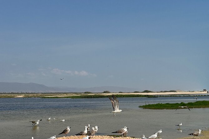 Historical Salalah City Tour - Is $104 per person a fair price?