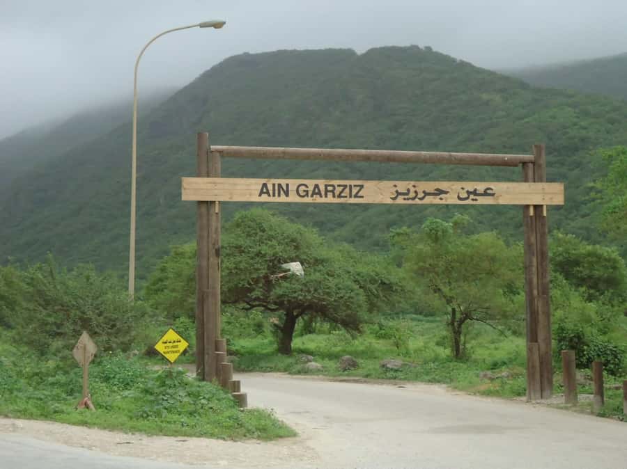 Historical Salalah City Tour with Culture, Food & Shopping - Frankincense and perfume at Haffa Souq