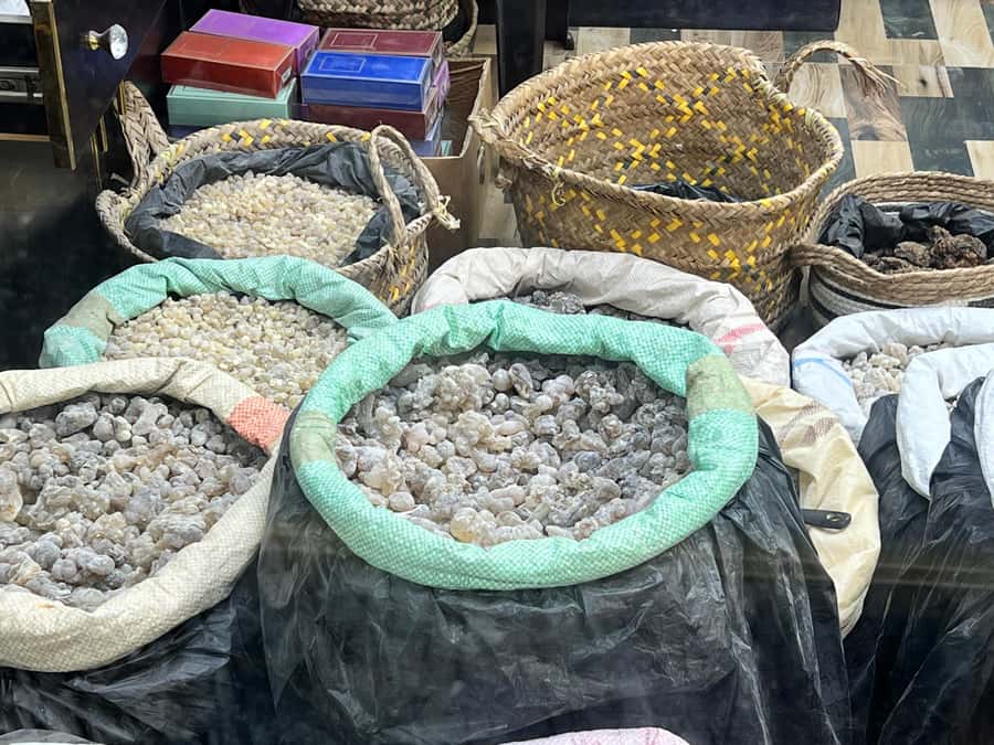 Historical Salalah City Tour with Culture, Food & Shopping - A tropical farm among coconut and banana trees