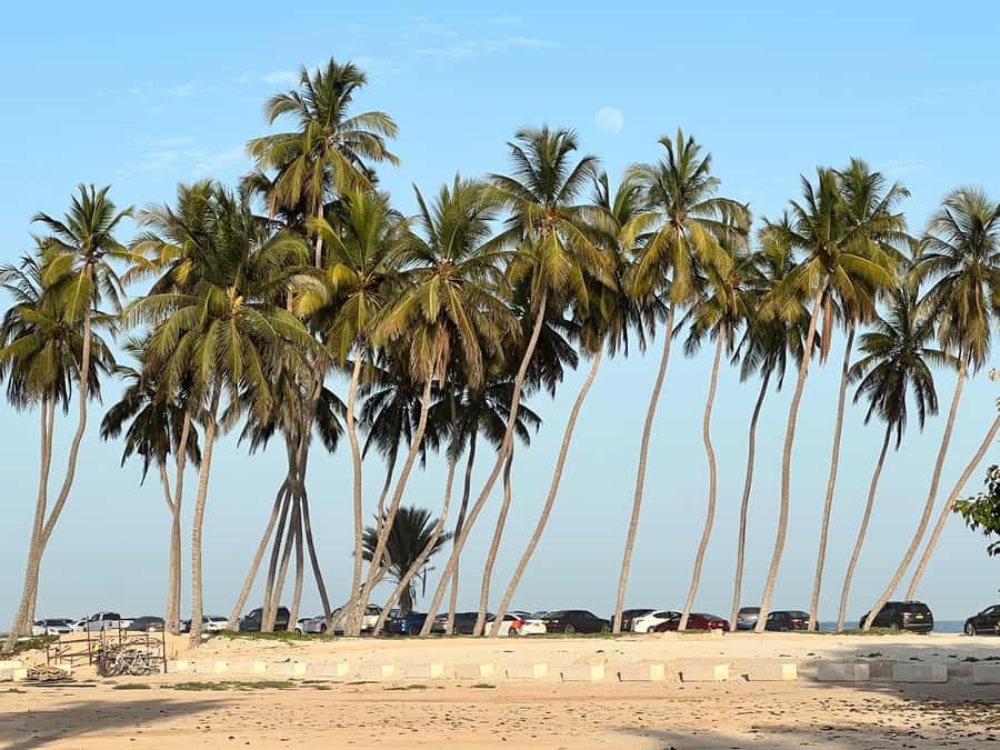 Historical Salalah City Tour with Culture, Food & Shopping - Sultan Qaboos Mosque in a 30-minute visit