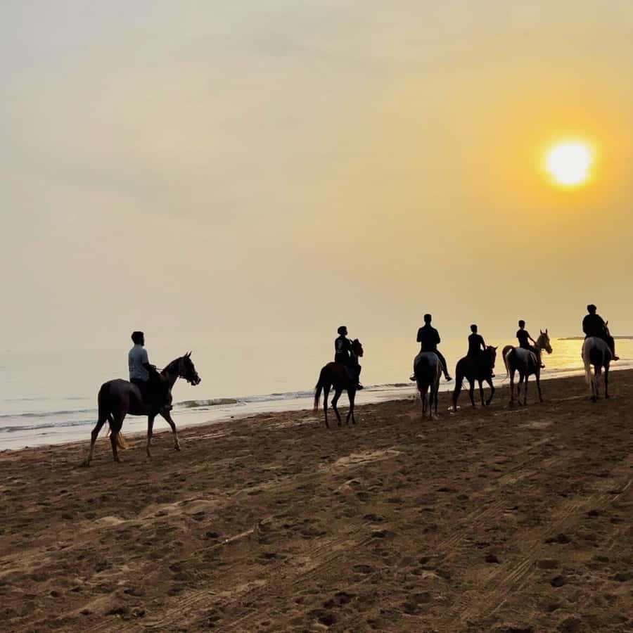 Horse riding in muscat beach - What the one-hour outing is really like