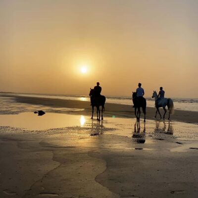 Horse riding in muscat beach