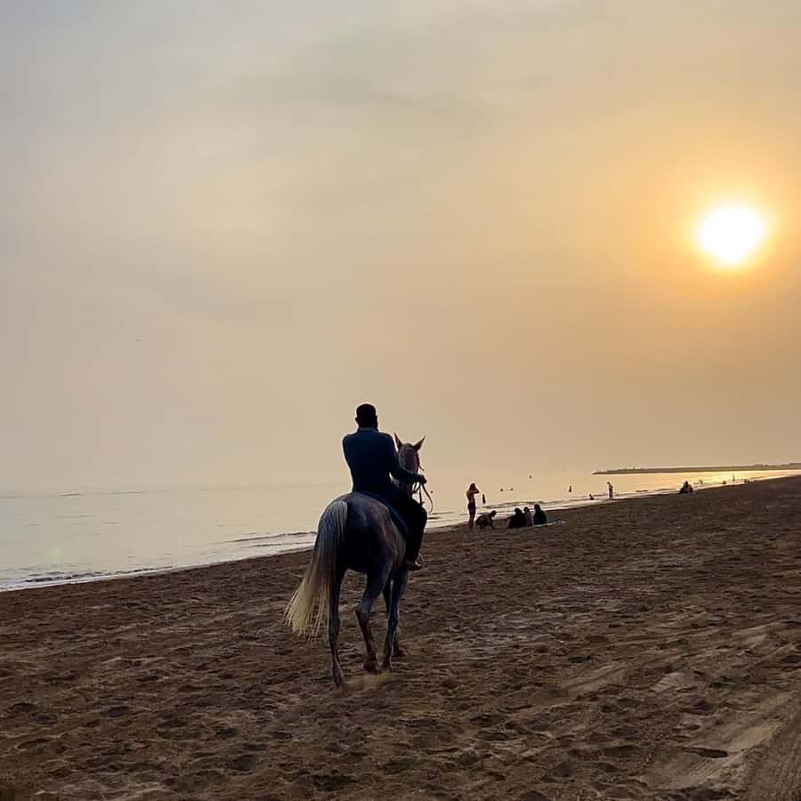 Horse riding in muscat beach - Who will enjoy this Muscat activity