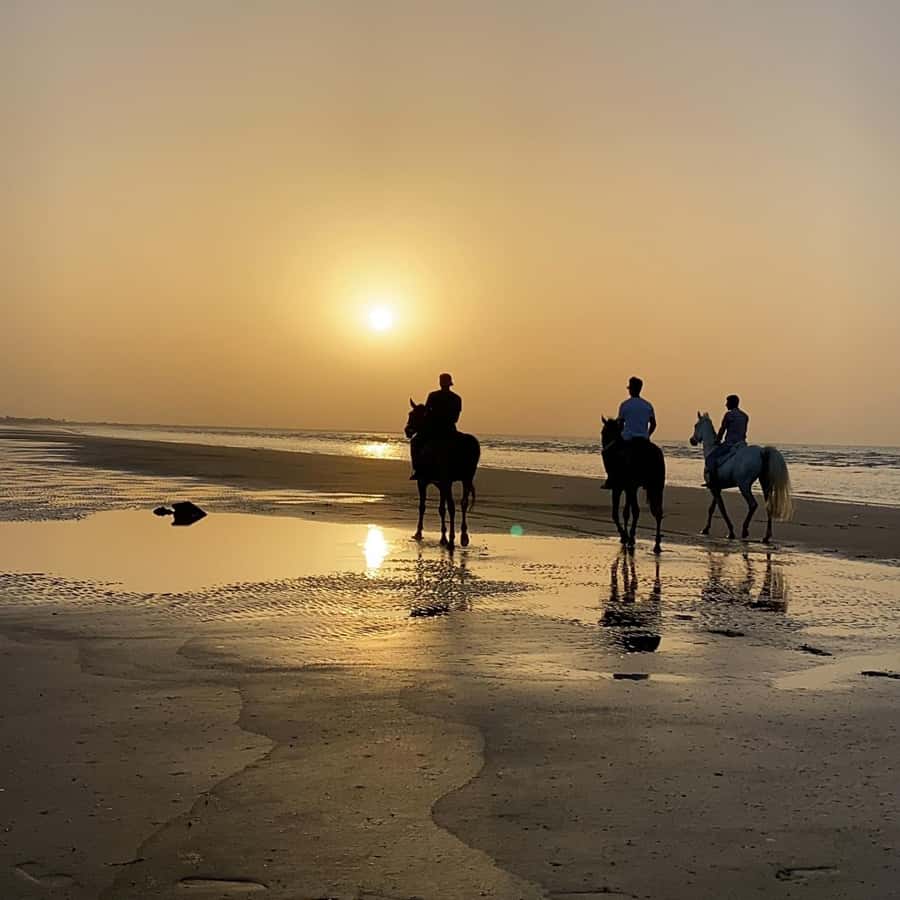 Horse riding in muscat beach - Why the location works so well for a short stay
