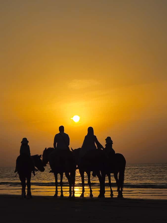 Horse Riding Muscat | Beach Horse Riding - Key points before you book