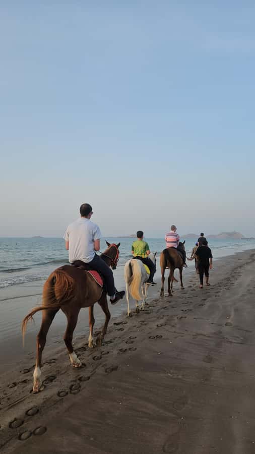 Horse Riding Muscat | Beach Horse Riding - Why the horses and staff matter
