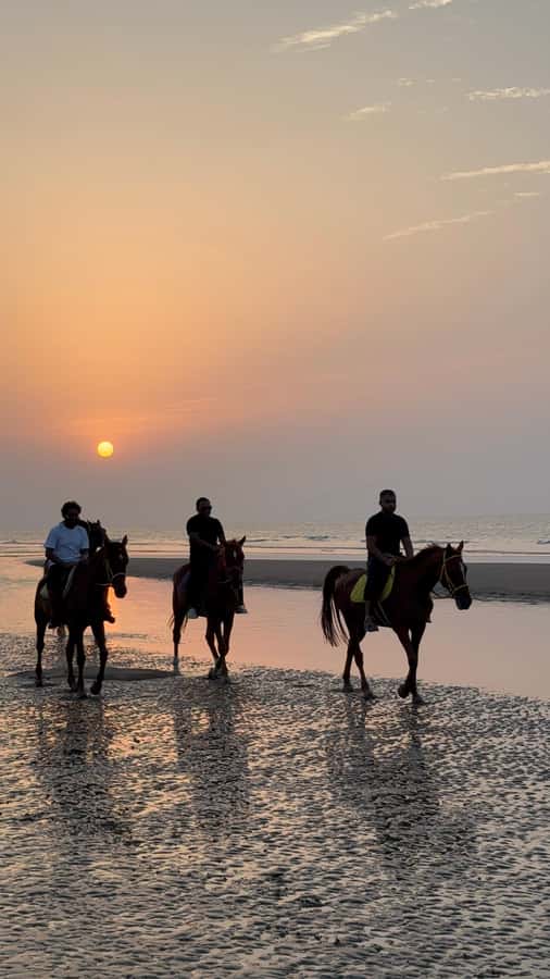 Horse Riding Muscat | Beach Horse Riding - Is $58 good value for one hour?