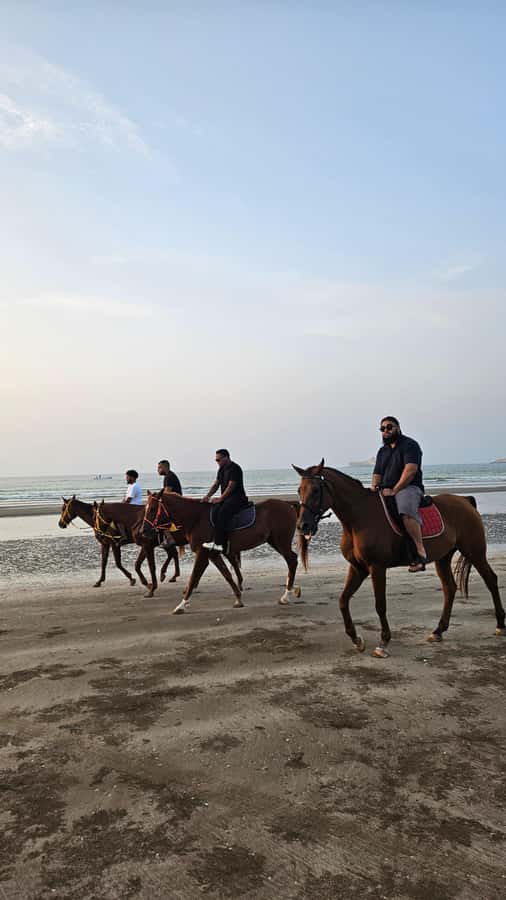 Horse Riding Muscat | Beach Horse Riding - Who will enjoy this most