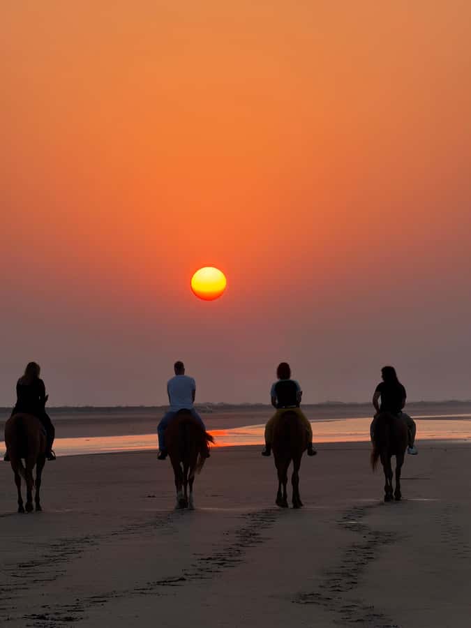 Horse Riding Muscat | Beach Horse Riding - Booking details worth checking