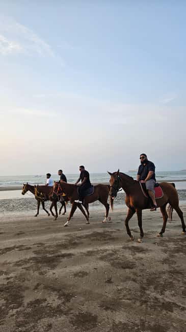 Horse Riding Muscat | Beach Horse Riding - My verdict on Horse Riding Muscat