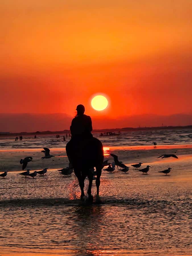 Horse Riding Oman - 2 hour ride - Key points at a glance
