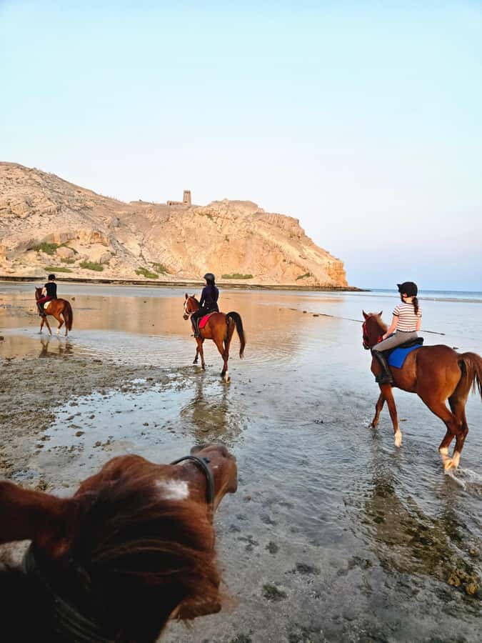 Horse Riding Oman - 2 hour ride - Why Al Sawadi Beach makes this ride different