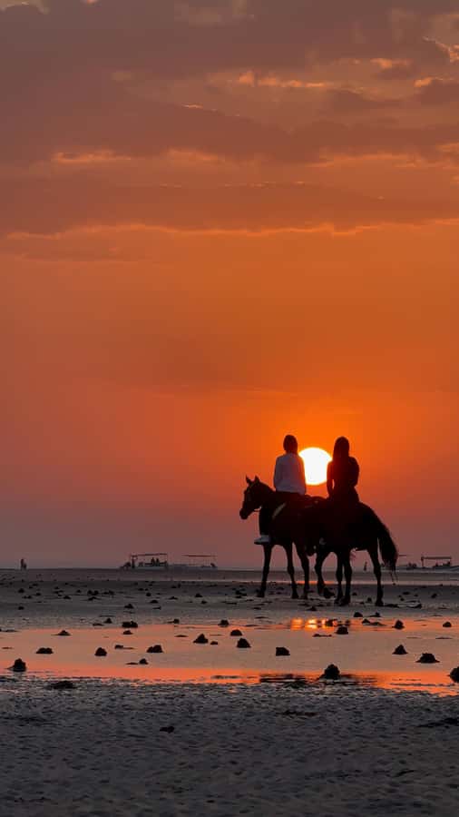 Horse Riding Oman - 2 hour ride - What is included, and what you should wear