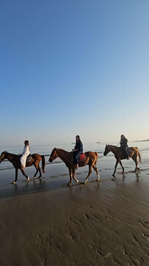 Horse Riding Oman - 2 hour ride - Meeting point and planning the drive