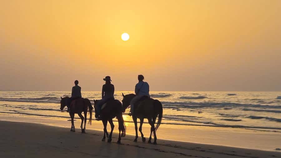 Horse Riding Oman - 2 hour ride - What the strong feedback tells you