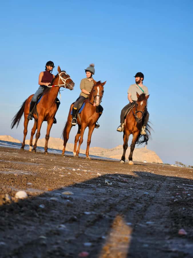 Horse Riding Oman - 2 hour ride - What happens during the two-hour ride