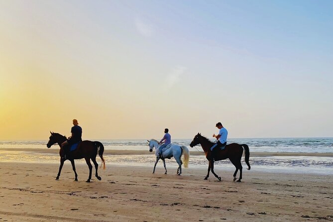 Horse Riding on the beach - Key points at a glance