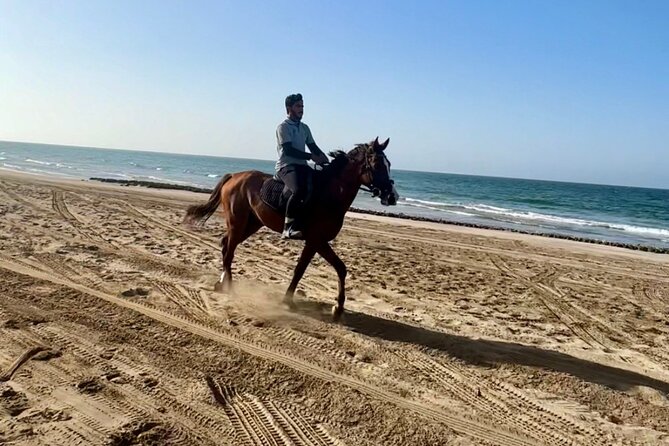 Horse Riding on the beach - Riding into Muscat’s sunset