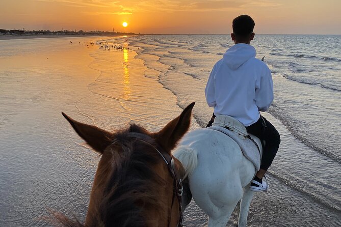 Horse Riding on the beach - Getting to the Civil Aviation Club in Alghubrah