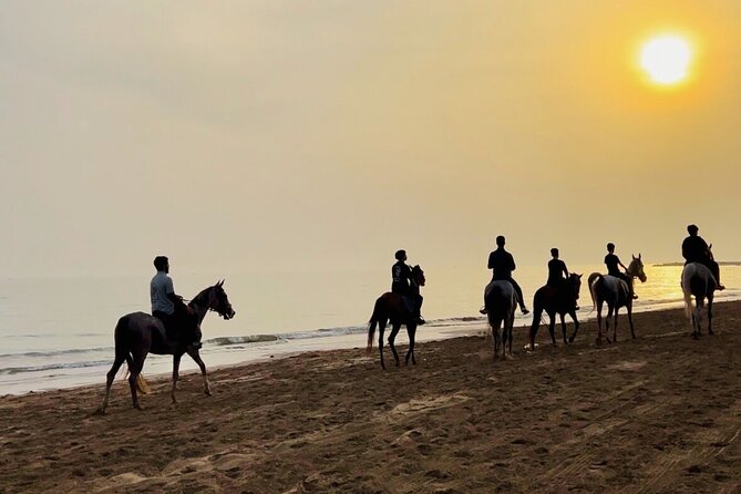 Horse Riding on the beach - How to prepare for a better ride