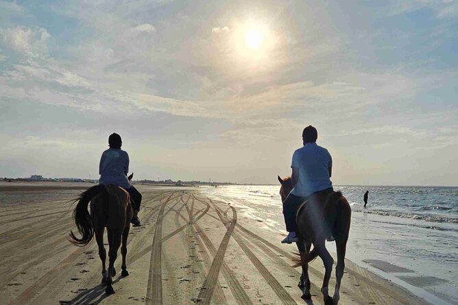 Horseback Riding Muscat Beach - What happens when you arrive