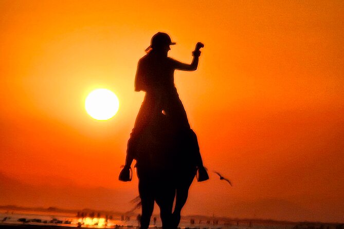 Horseback Riding Muscat Beach - Why sunrise and sunset are the best choices