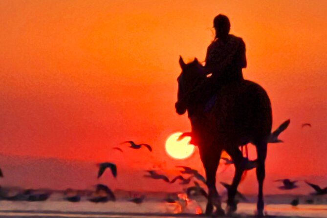Horseback Riding Muscat Beach - Suleman’s role as guide and photographer