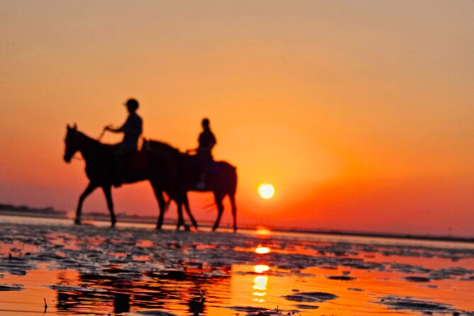 Horseback Riding Muscat Beach - Group size, comfort, and practical limits