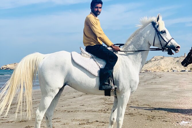 Horseback Riding Muscat Beach - The one-hour beach ride