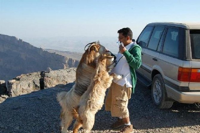 Jabl Shams with Nizwa for tours and sightseeing - Nizwa Souq and the old capital