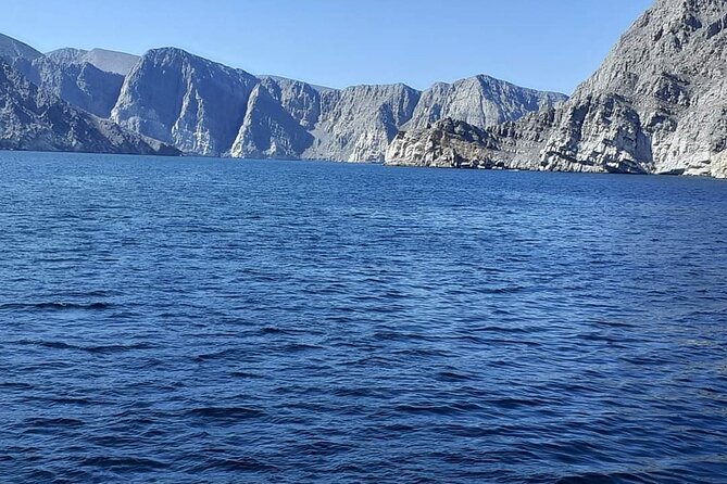 Khasab Dhow cruise-Half day with summing, dolphin watching - Watching Dolphins Along the Khasab Coast