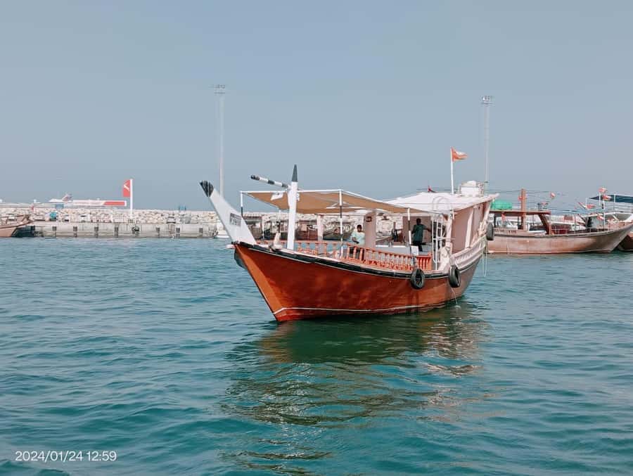Khasab: Dhow Cruise with Lunch, Dolphin Watching& Snorkeling - Cruising into Musandam’s fjords