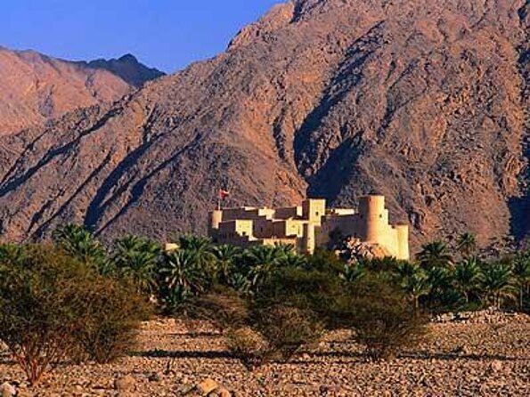 Khasab Full Day Dhow Cruise With Enjoying Snorkeling, Lunch & Dolphin Watching - Key points to know before booking