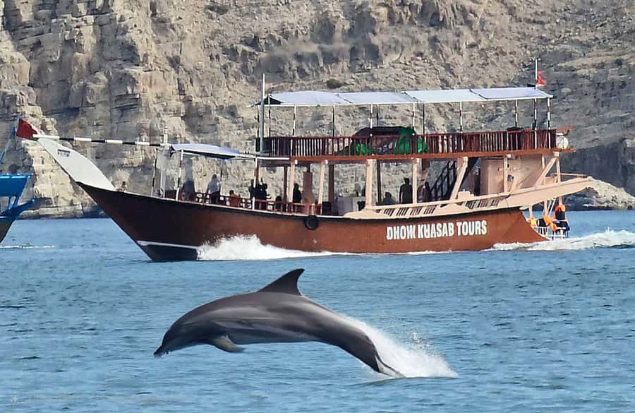 Khasab: Half-Day Dhow Cruise, Dolphin Watching, & Snorkeling - Why Khasab’s Fjords Make a Good Half-Day Outing