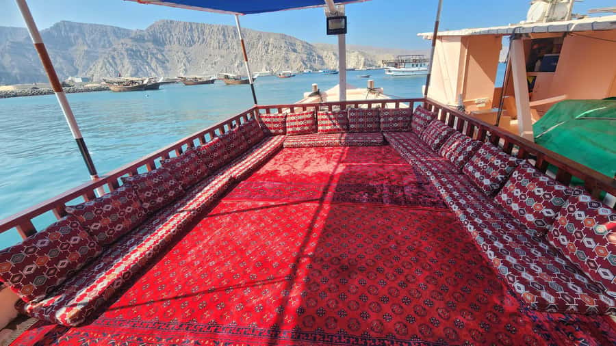 Khasab: Half-Day Dhow Cruise, Dolphin Watching, & Snorkeling - Coffee, Fruit, and a Comfortable Ride Back