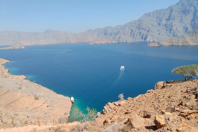 Khasab Musandam Half Day Dhow Cruise - Dolphin watching beside the boat