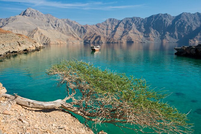Khasab Musandam Half Day Dhow Cruise - Meeting the dhow at Khasab