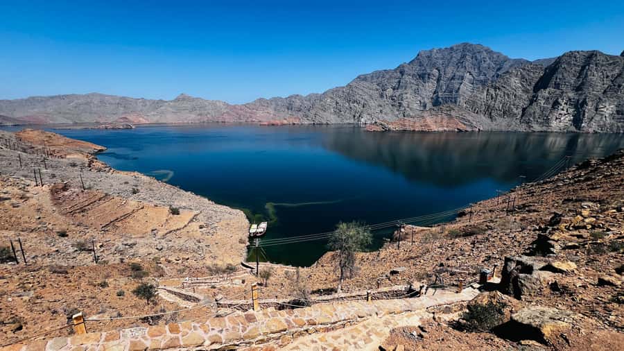 Khasab Musandam |Telegraph Island |Dhow Cruise | Dolphins - What the $51 price really covers
