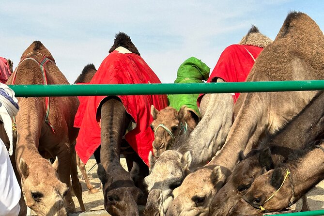 Luxury Overnight Desert Safari in Salalah - Sunset coffee, a private tent, and desert silence