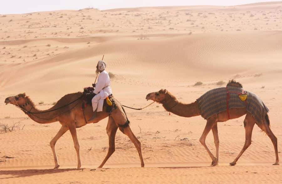 Luxury Overnight Desert Safari in Salalah - Who will enjoy this Salalah safari most