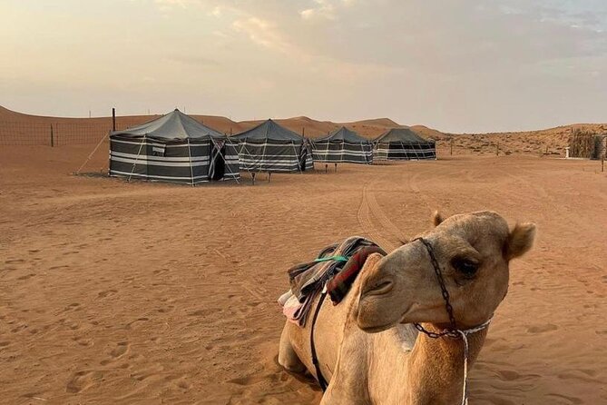 Luxury Overnight Desert Safari in Salalah - Ubar and the old desert trade routes