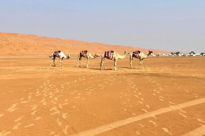 Luxury Sunset Desert Safari - What $175 buys you
