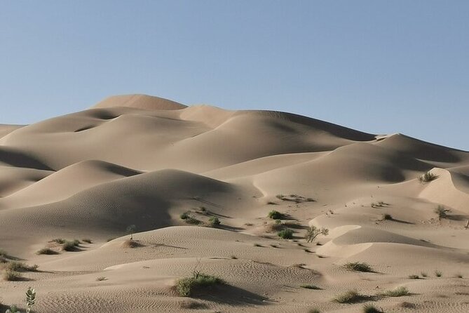 Luxury Sunset Desert Safari - Practical advice for a smoother outing