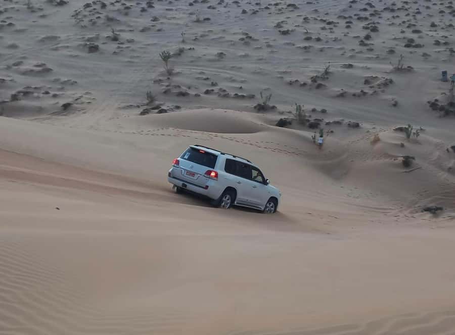 Magical Desert Safari By Land Cruise in Empty Quarter - Ubar, the Atlantis of the Sand
