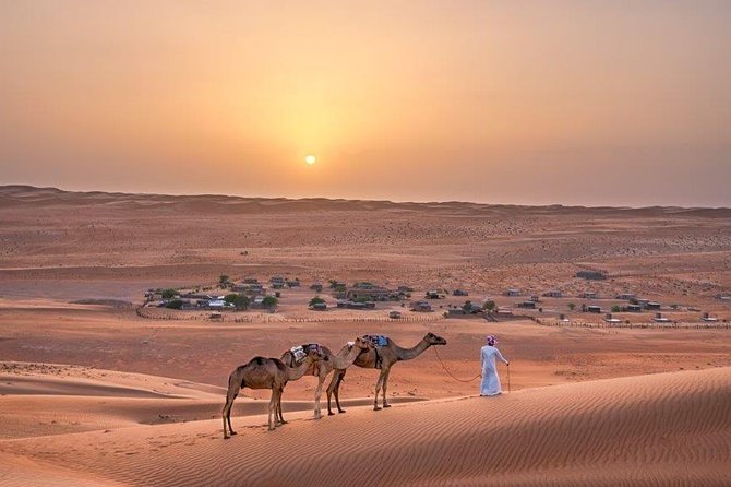 Mountain, Desert & Coastal Tour (03 Days / 02 Nights) - Who will enjoy this tour most