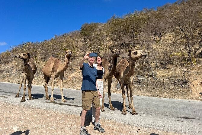 Mountain Safari, Camels, waterfalls & lunch (Group Tour) - Wadi Darbat is the day’s main nature stop