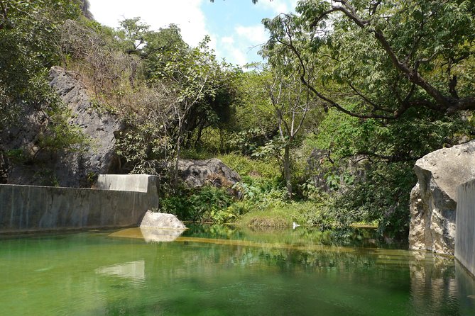 Mountain Tour - Darbat falls, Jebel Samhan, sinkholes, baobabs - Wadi Darbat: water, greenery, and wandering camels