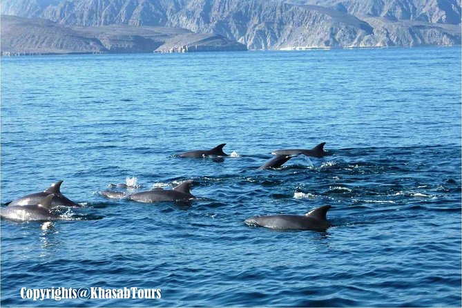 Musandam Khasab Day Trip and Dhow Cruise from Dubai - Khasab and the option of more Oman context
