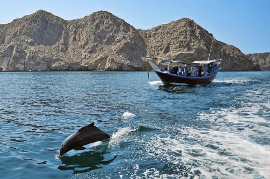 Musandam Khasab Full-Day Cruise with Transfers & Lunch - Telegraph Island and the first swim